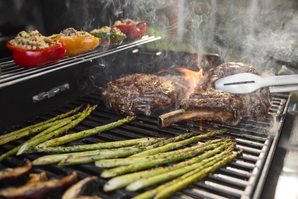 Weber NEW Spirit® E-425 | 1501309