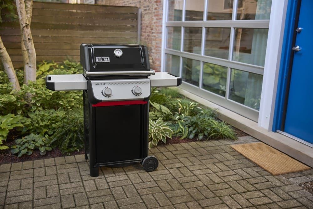 Weber Spirit E-210 LP | 1501304