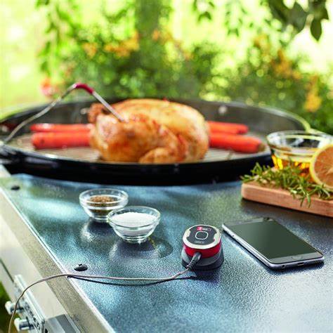 Weber iGrill Mini | 7220