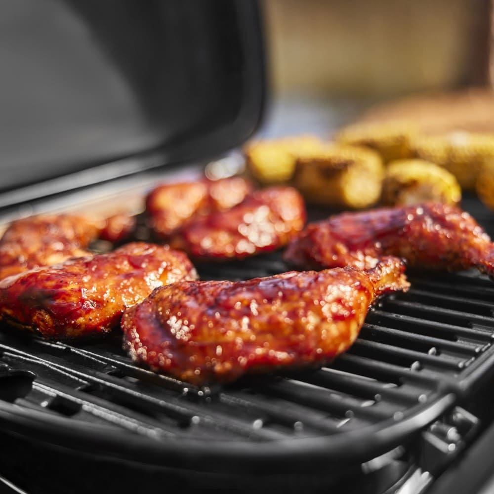 WEBER TRAVELER COMPACT | 1500529
