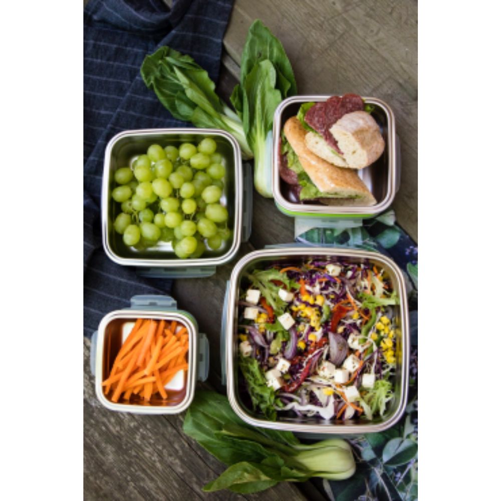 Versatile Stainless Steel Braai Bak with plastic lid Sets