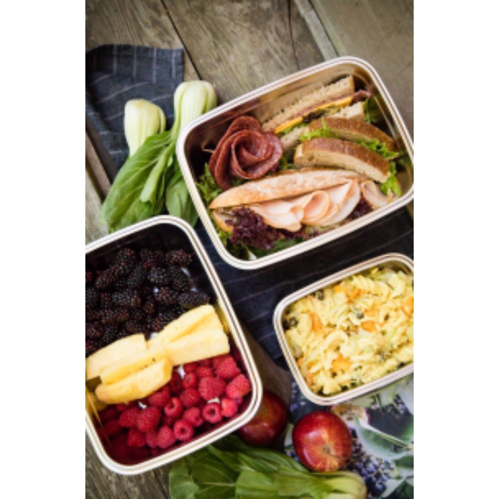 Versatile Stainless Steel Braai Bak with plastic lid Sets