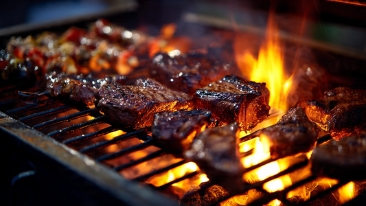 The Joy of Flame: Exploring the Convenience and Benefits of Portable Braais (Gas or Charcoal)