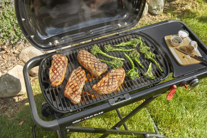Weber Traveller LP BLK
