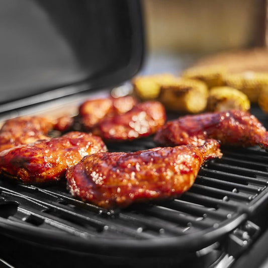 WEBER TRAVELER COMPACT | 1500529