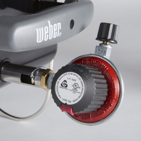 Weber go anywhere gas